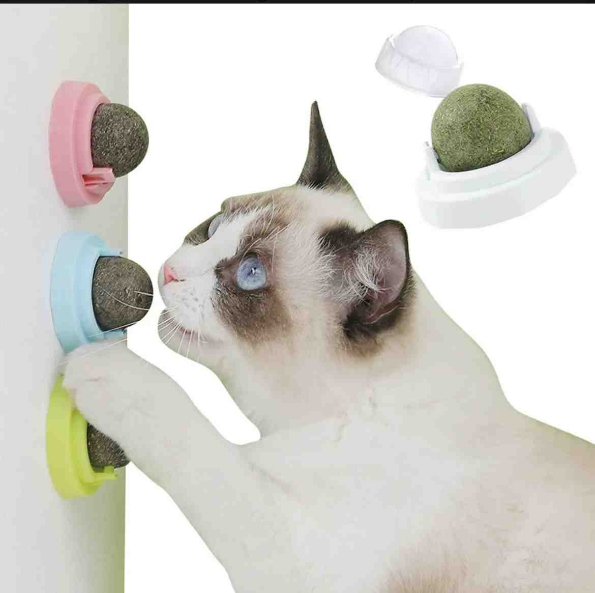 CATNIP GIRATORIO 