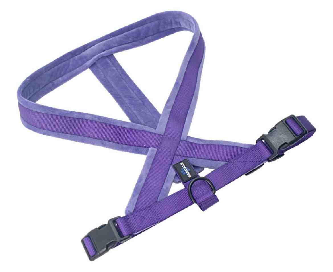PRE95888-L/XL Arnes acolchonado  violeta L/XL