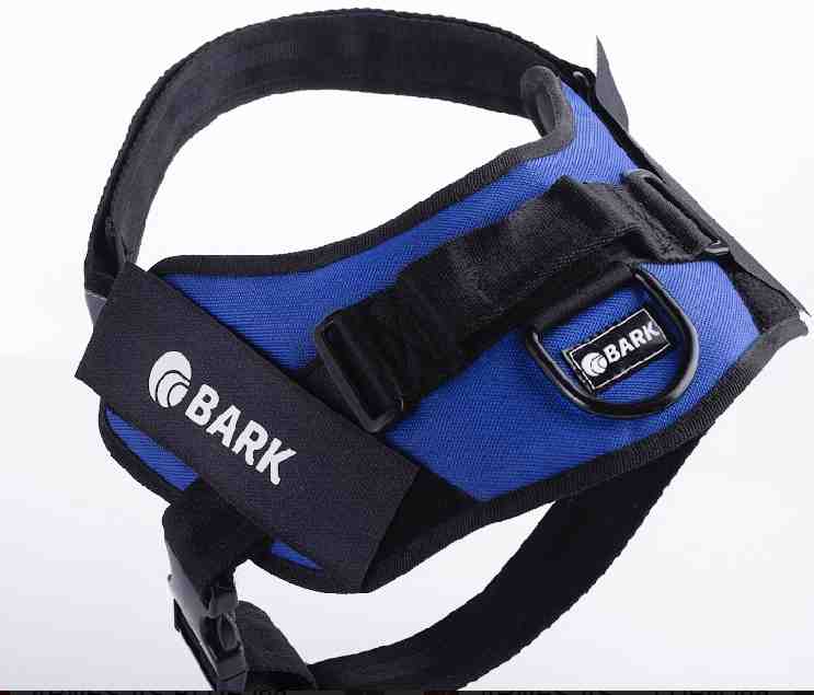 BARK CLASICO XL AZUL