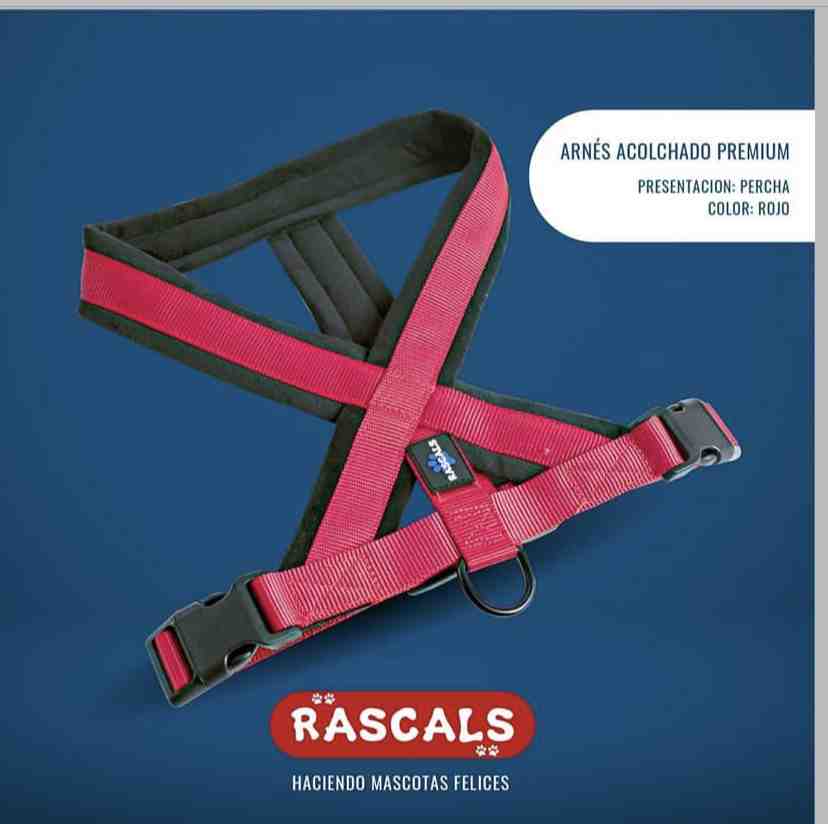 PRE102-M/L Arnés acolchado Premium  rojo，M/L