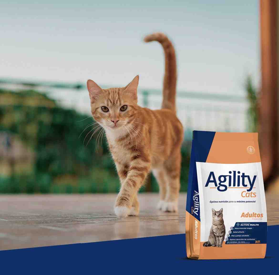 AGILITY CATS ADULTO X1,5KG 