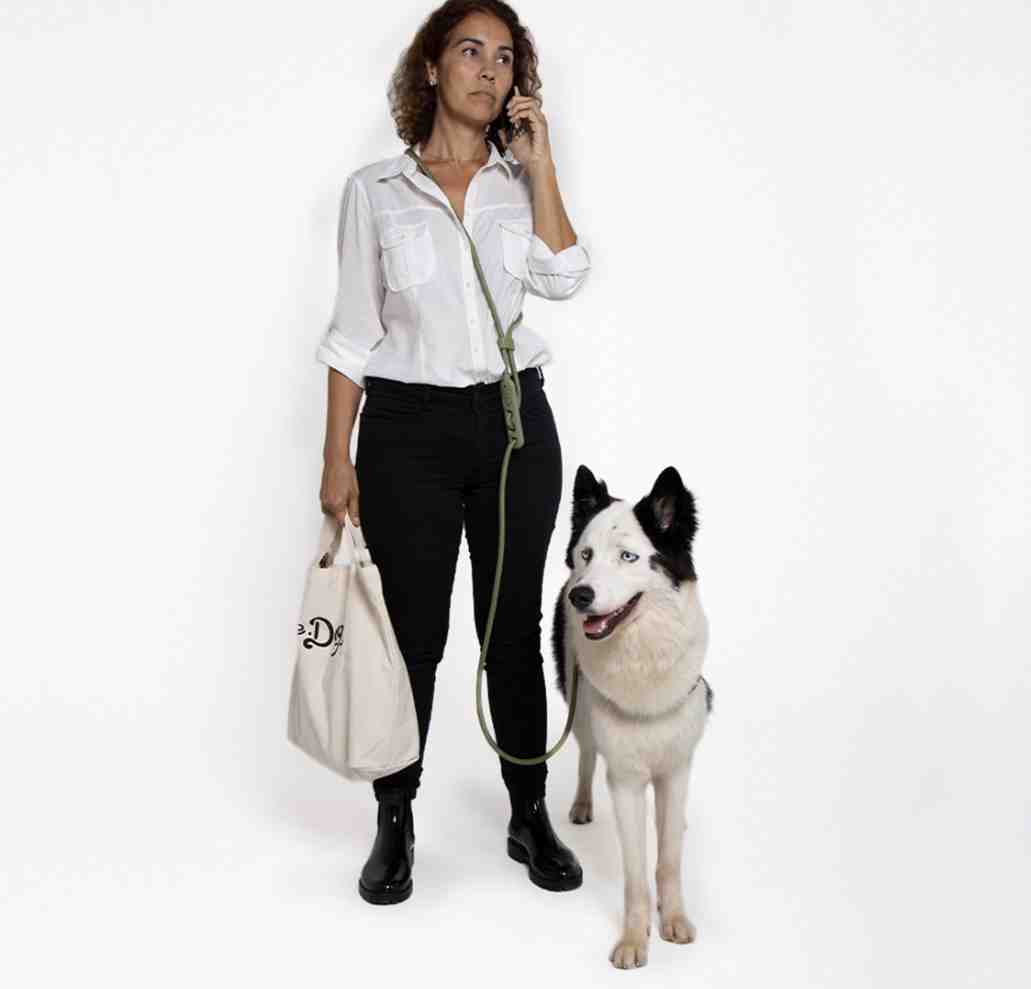 CORREA  HANDS FREE LEASH ARMY