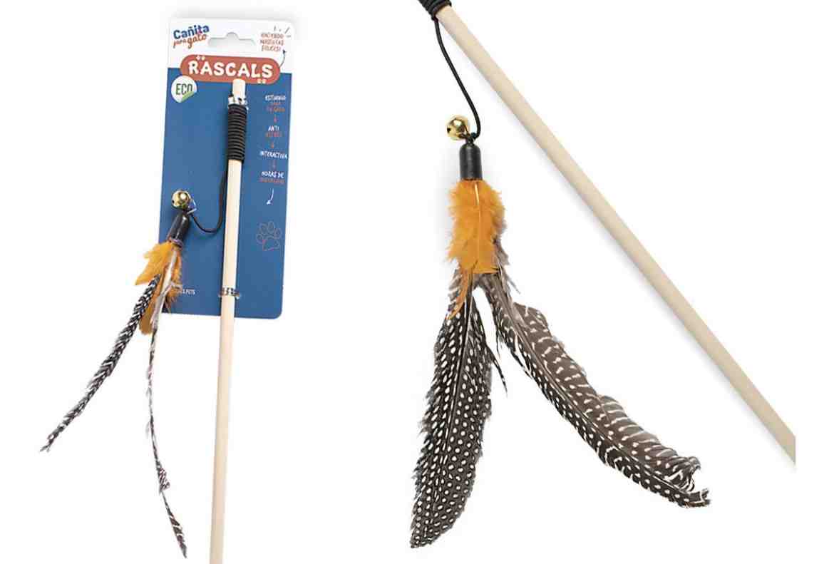 JUG101895 CAÑITA CON PLUMAS