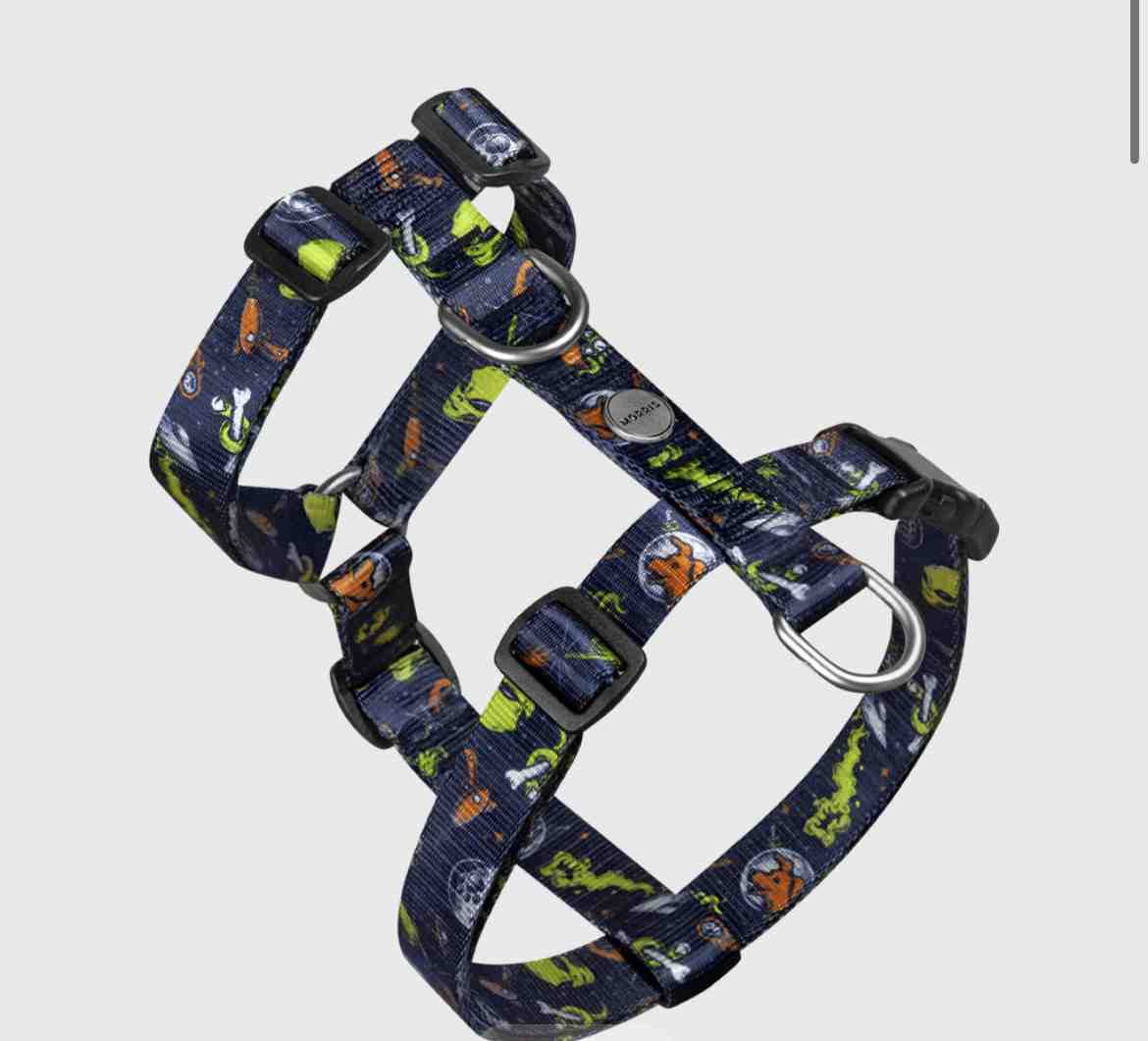 MORRIS ARNES H ROSWELL TALLE S 