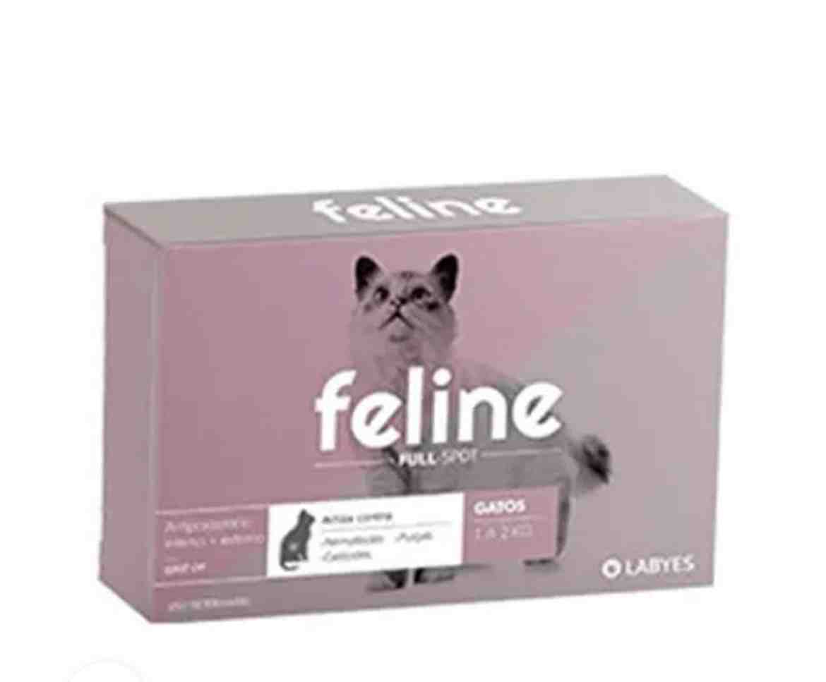 FELINE FULL SPOT DE 1 A 2 KG 