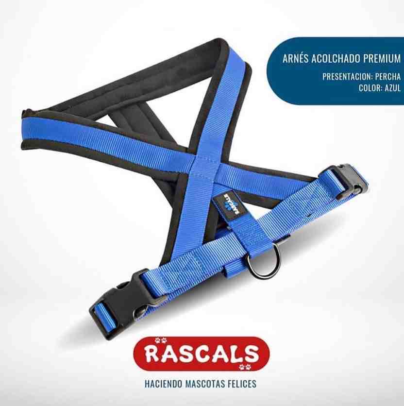 PRE101-XS/S Arnés acolchado Premium Color azul