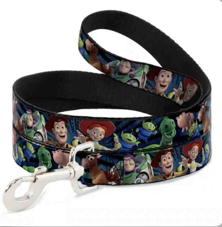 CORREA TOY STORY 
