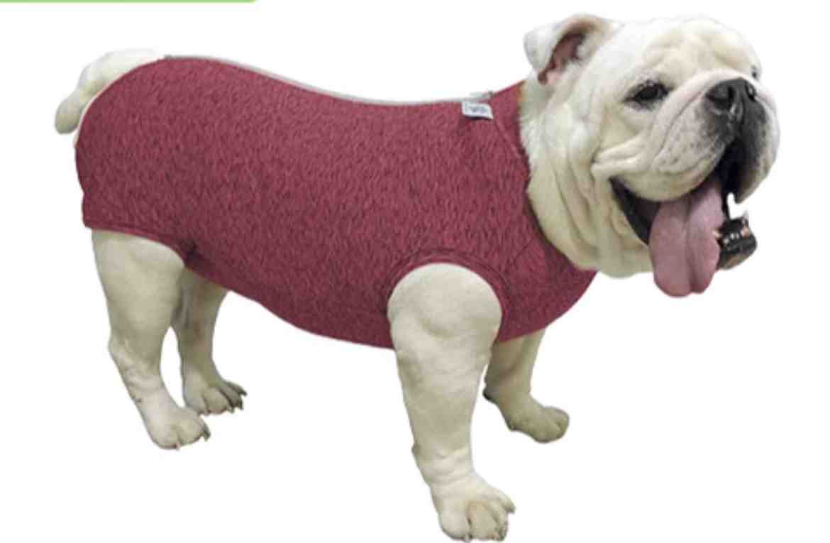 ROPA PROTEC UV/POST QUIRURGICA BULL DOG T:GRANDE