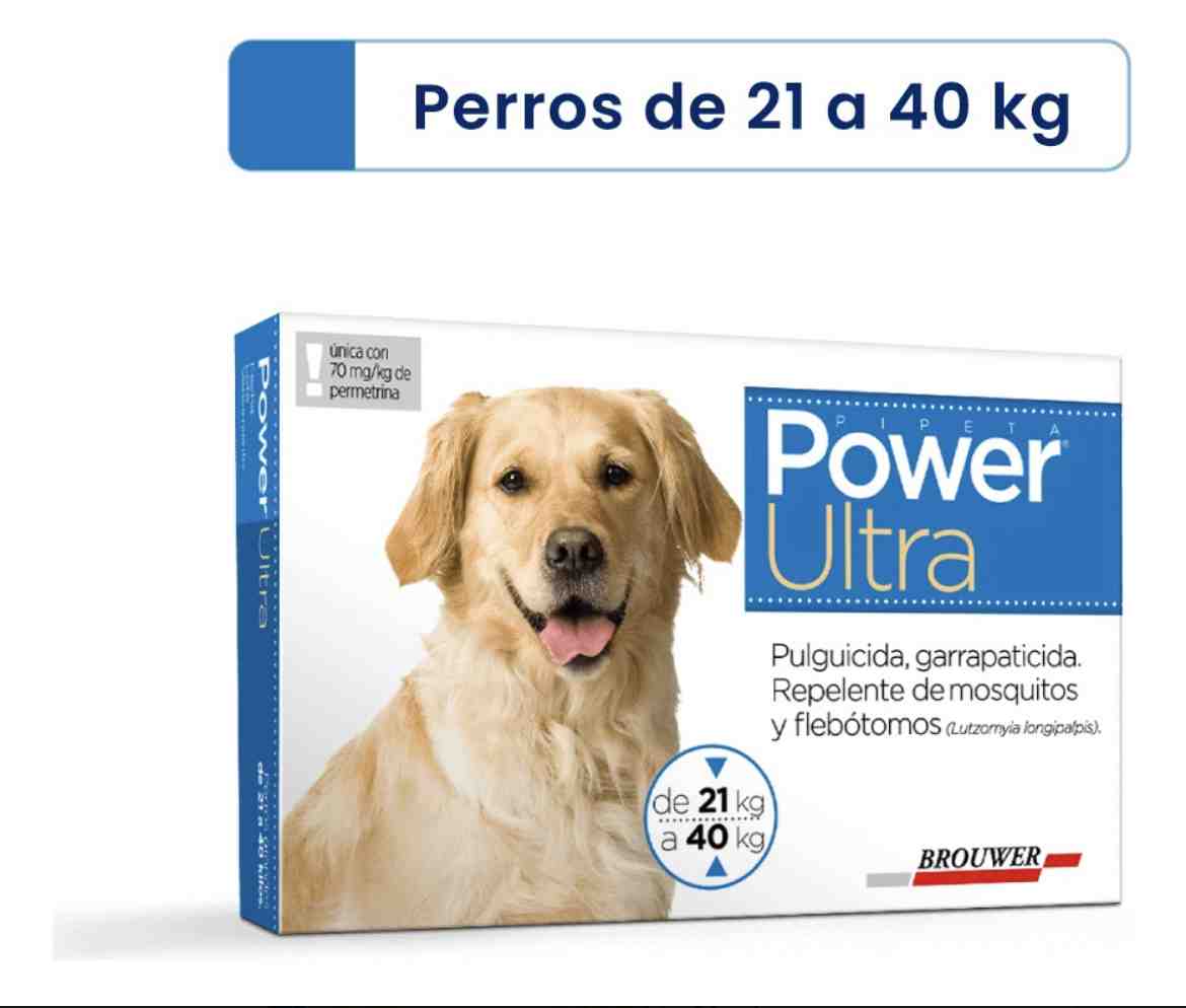 POWER ULTRA PERROS DE 21 A 40 KG