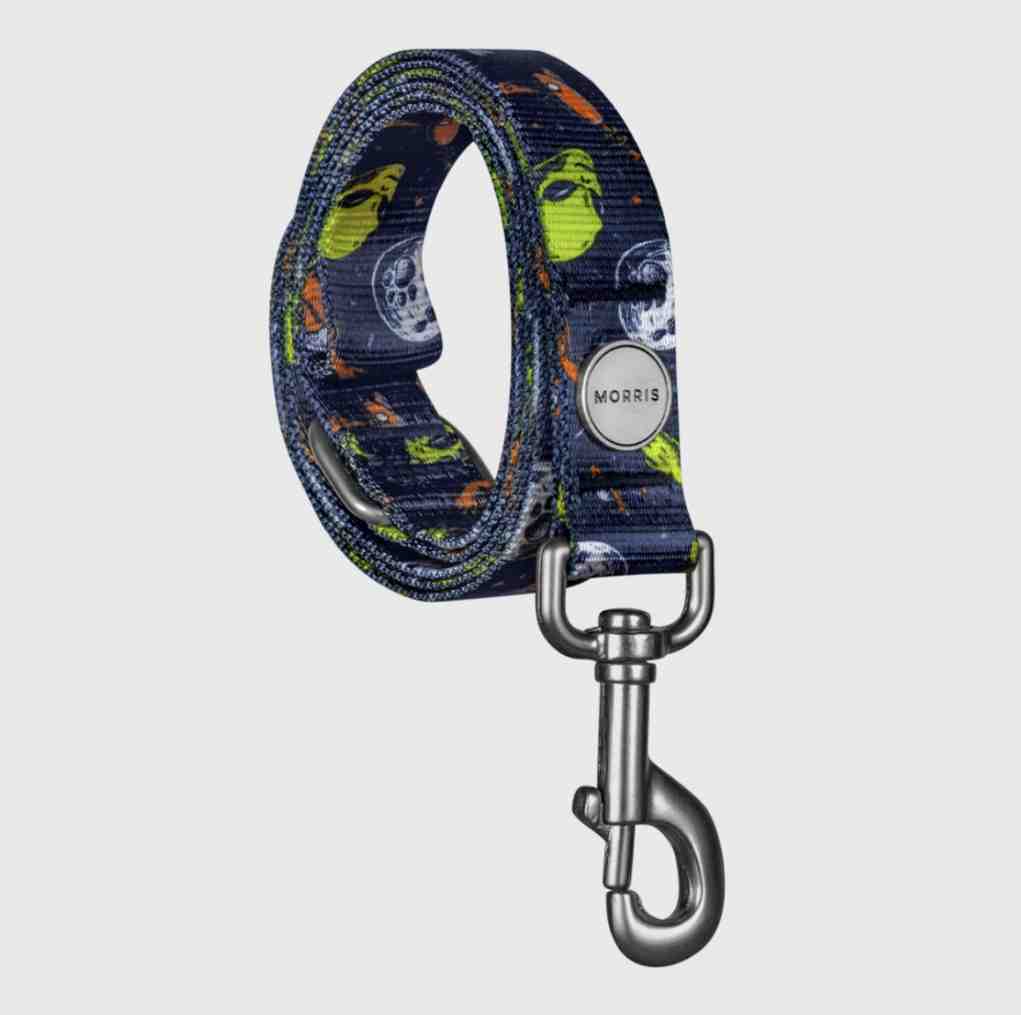 CORREA MORRIS ROSWELL TALLE L 1,20MT CINTA 2,5 CM 
