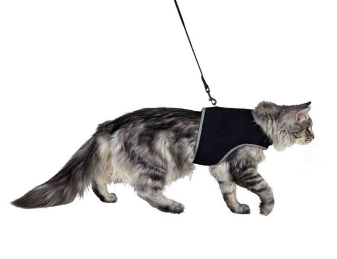 41896  TRIXIE CONJUNTO ARNES GATO  T.U COLOR SURTI