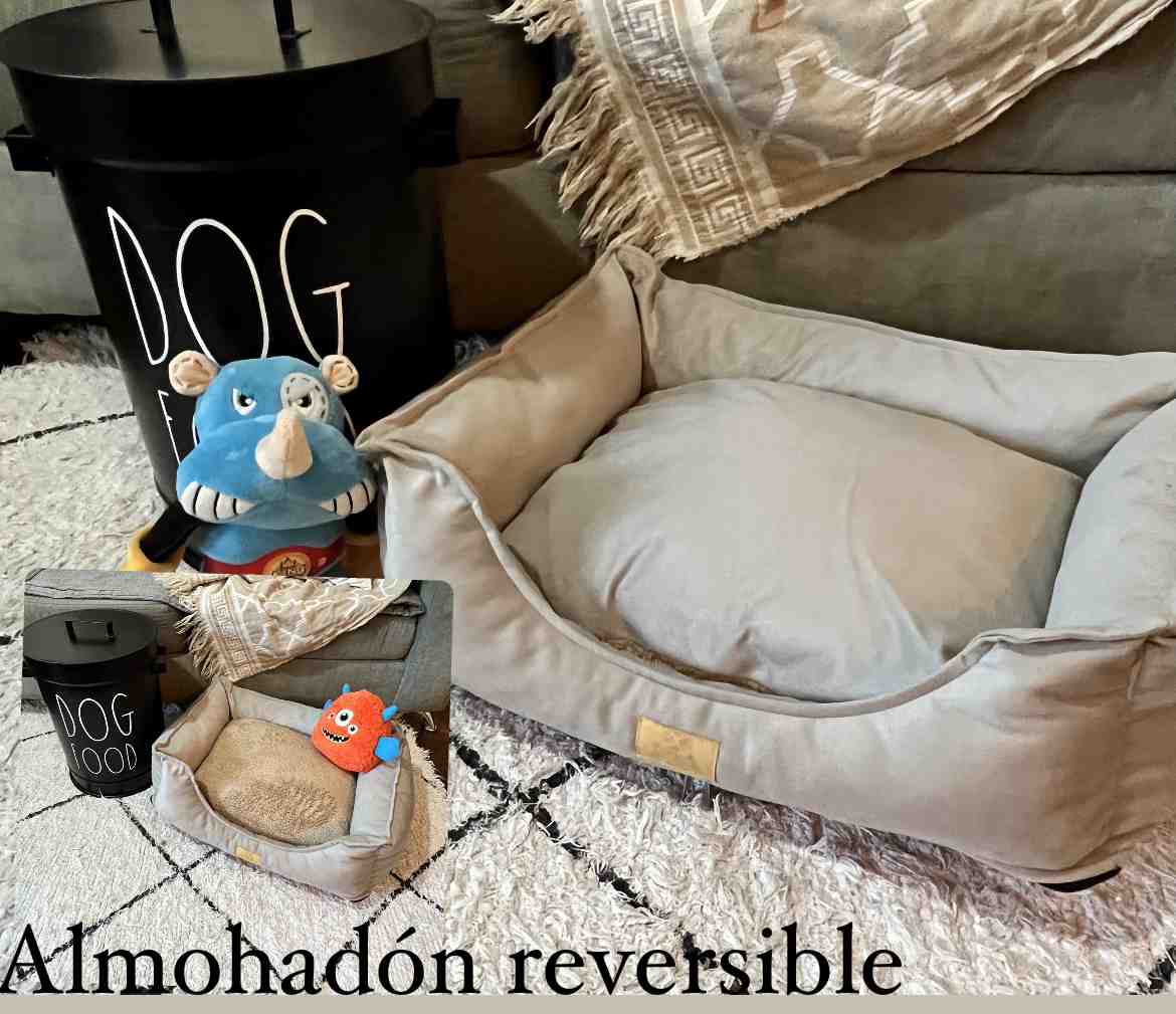MOISES MOLLY BEIGE TALLE 1 40 X 50 CM 