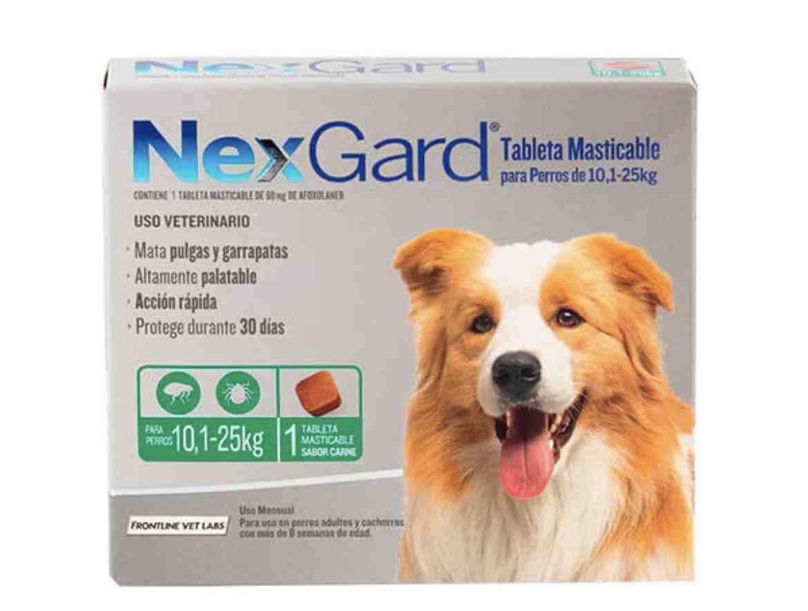 NEXGARD PERRO (10 A 25 KG )