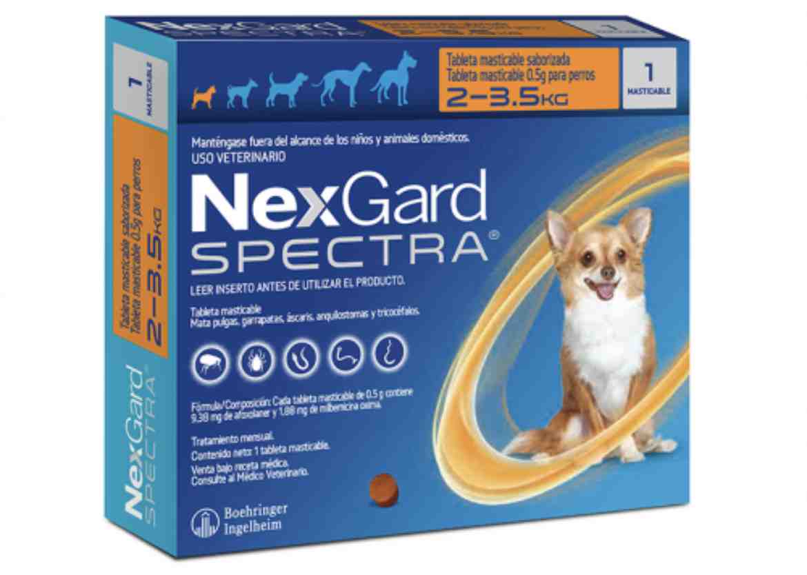 NEXGARD SPECTRA PERRO (2 A 3,5 KG )