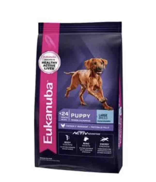 EUKANUBA PUPPY LARGE X 15 KG 