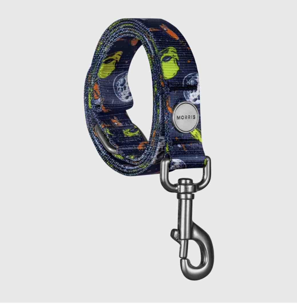 CORREA MORRIS ROSWELL TALLE M 1,20MT CINTA 2 CM 