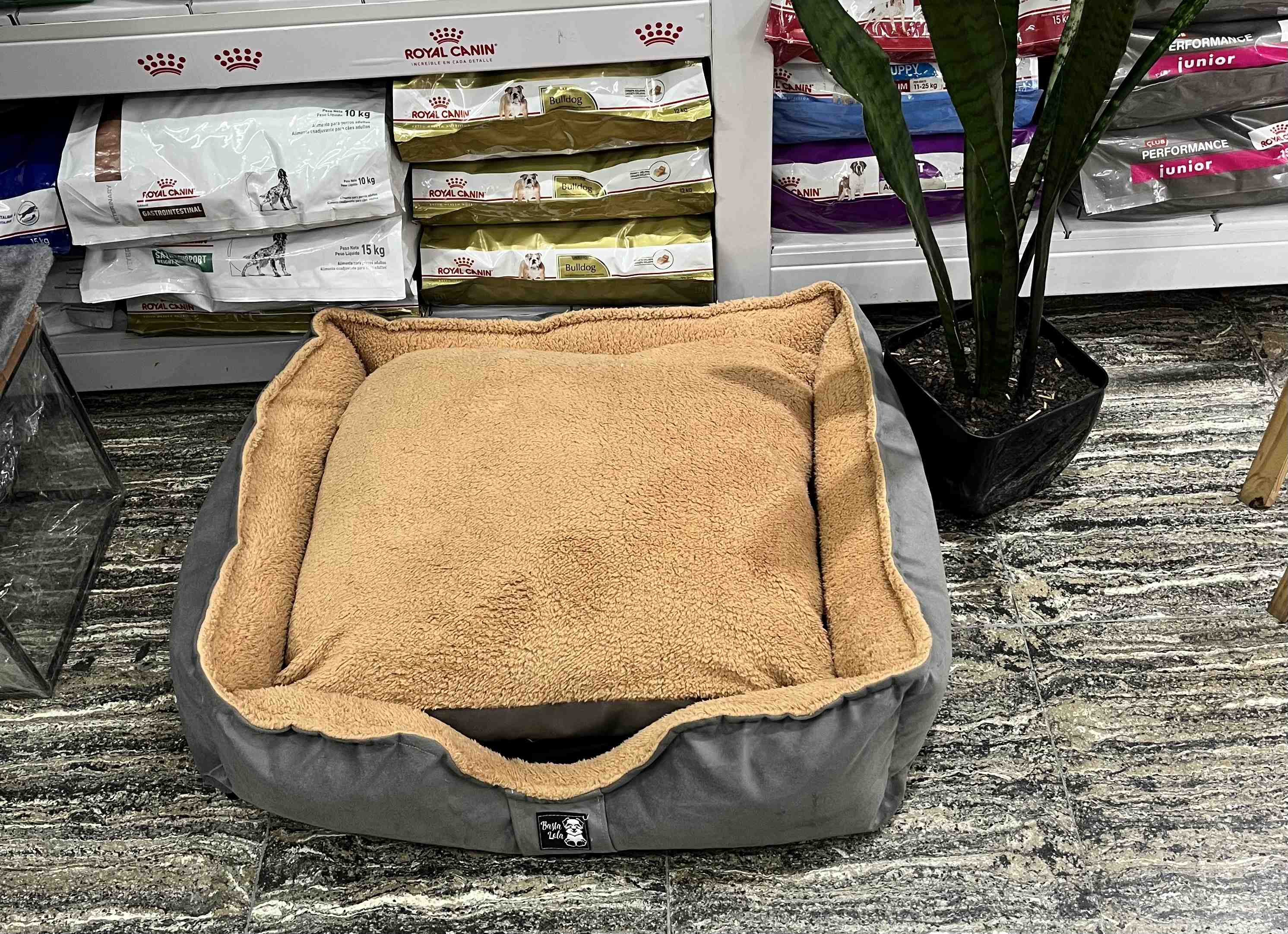 MOISES NINA GRIS TALLE 4 60 X 70 CM (DESMONTABLE)