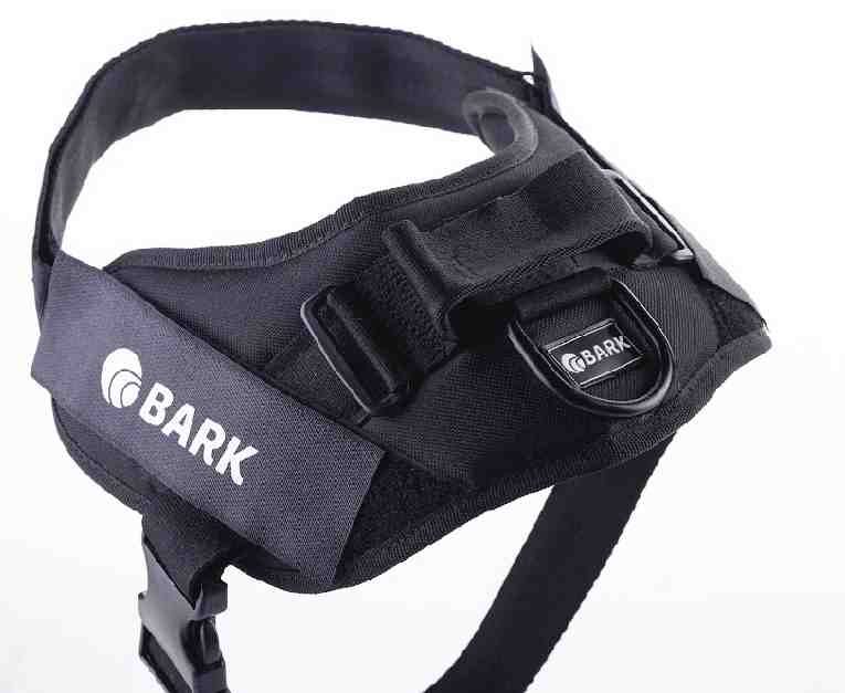 BARK CLASICO S NEGRO 