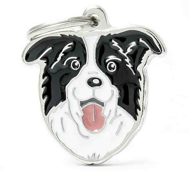 MEDALLA  BORDER COLLIE 