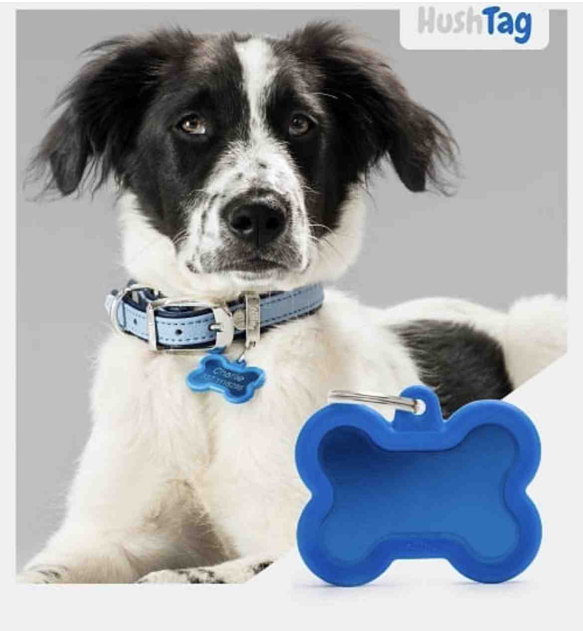 MEDALLA HUESO SILENCIOSO BLUE