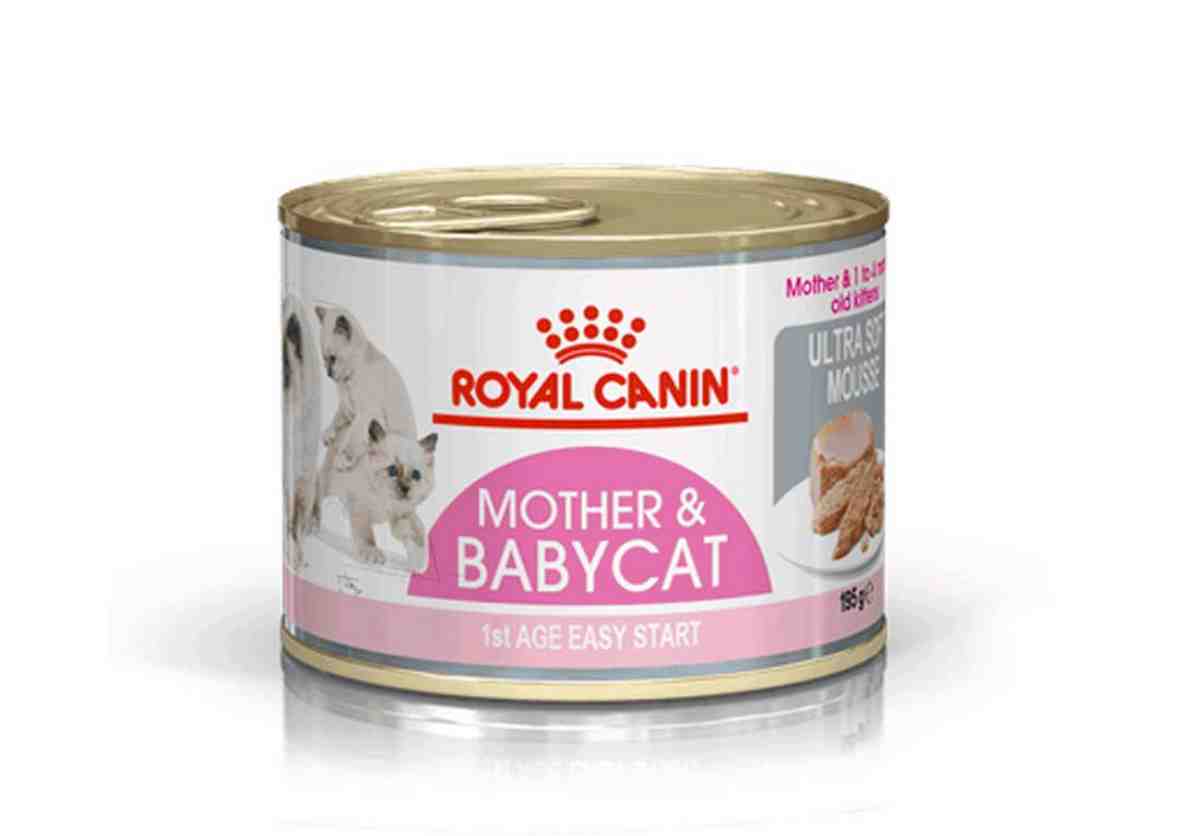 LATA ROYAL MOTHER & BABY CAT 195GM