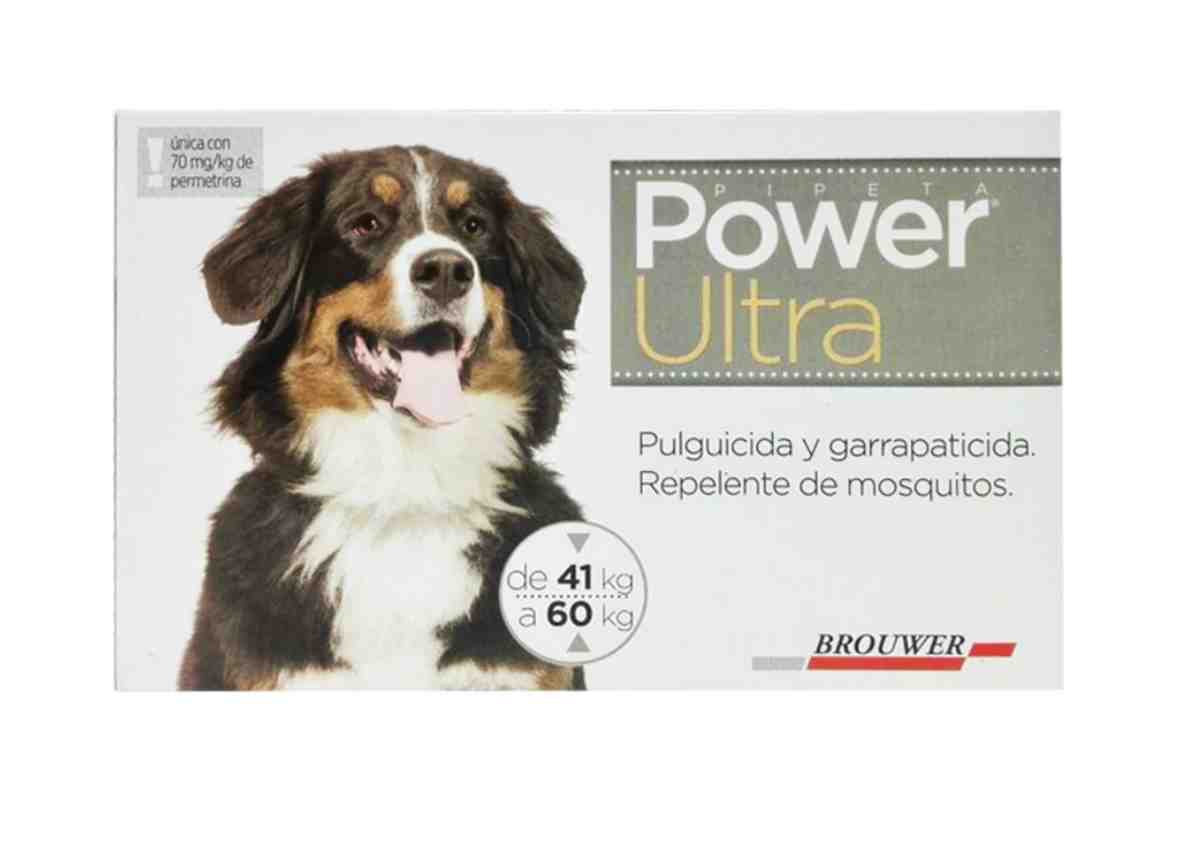 PIPETA POWER ULTRA  41 A 60 KG 