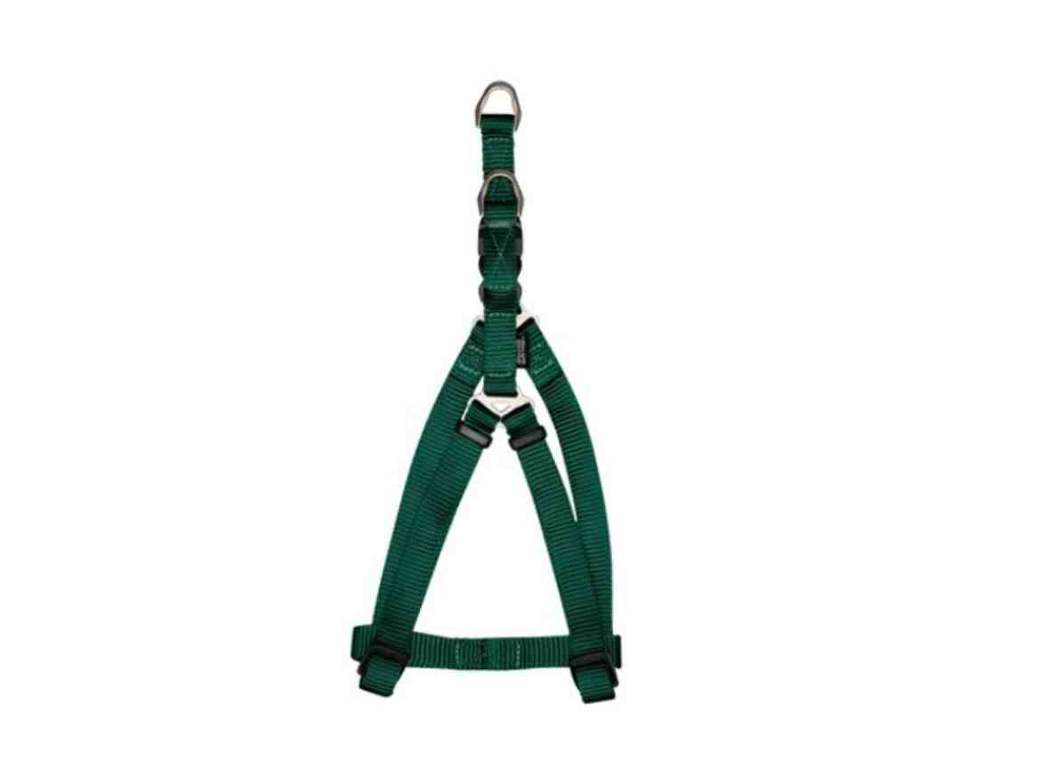 99663 PRETAL ZEUS S/P COLOR VERDE