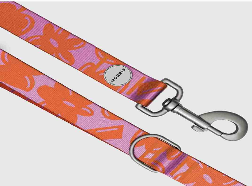 CORREA MORRIS FRESS M LARGA  2,20 cm