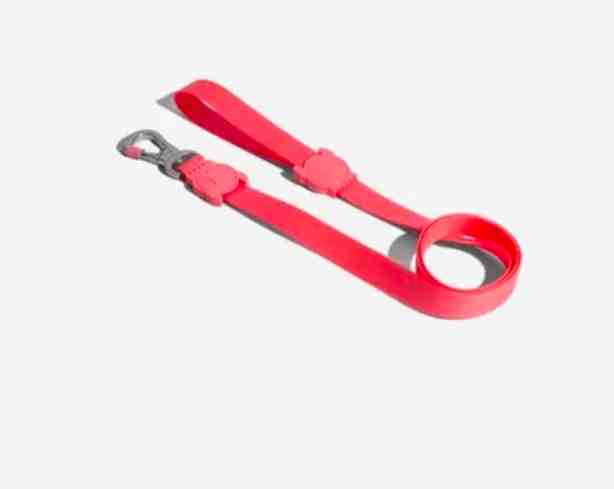 CORREA NEOPRO BUBBLEGUM TALLE L 