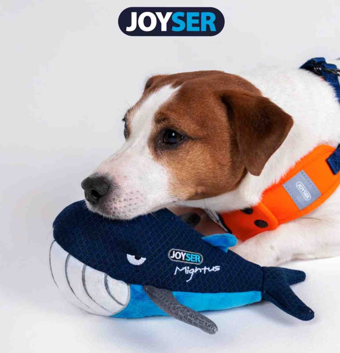 7115 JOYSER BALLENA 30CMX12CM