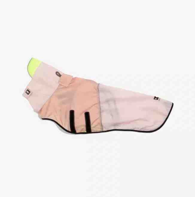 PILOTO ZEE DOG OATMEAL TALLE S 