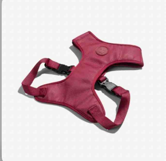 AIR MESH BORDEAU  L 