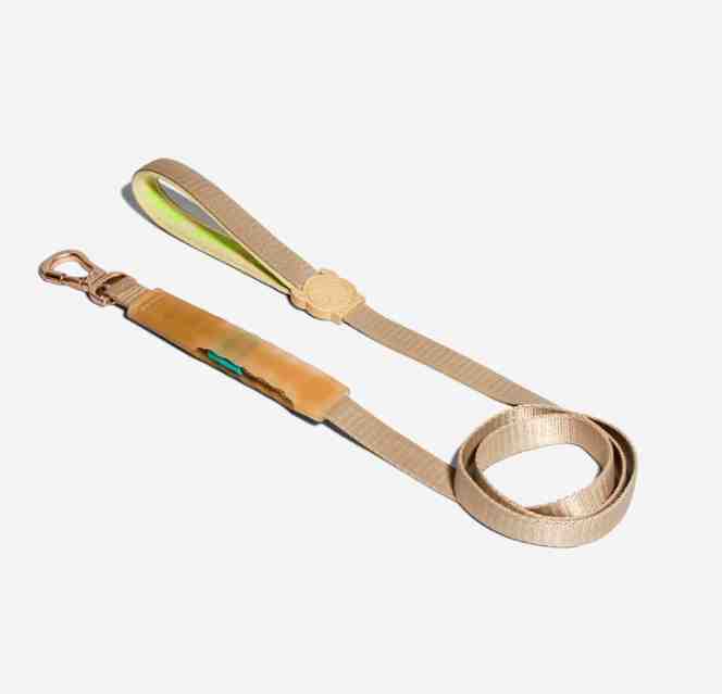 CORREA AIRLEASH  KIM AIR