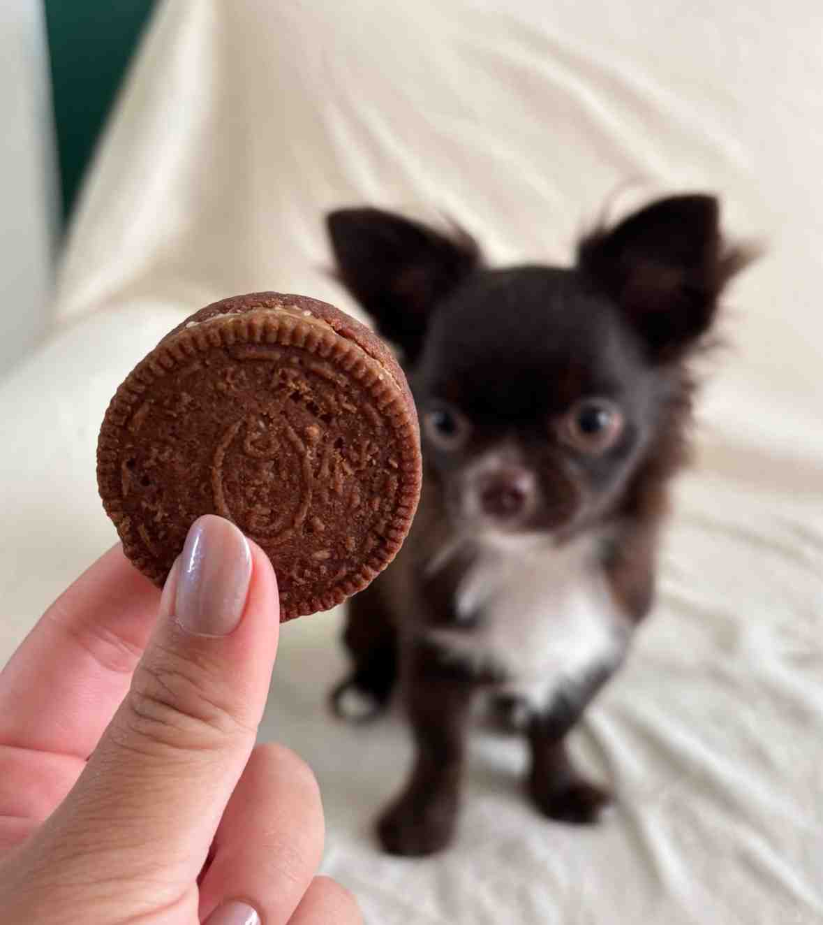 GALLETA NATURAL CYNO OREO