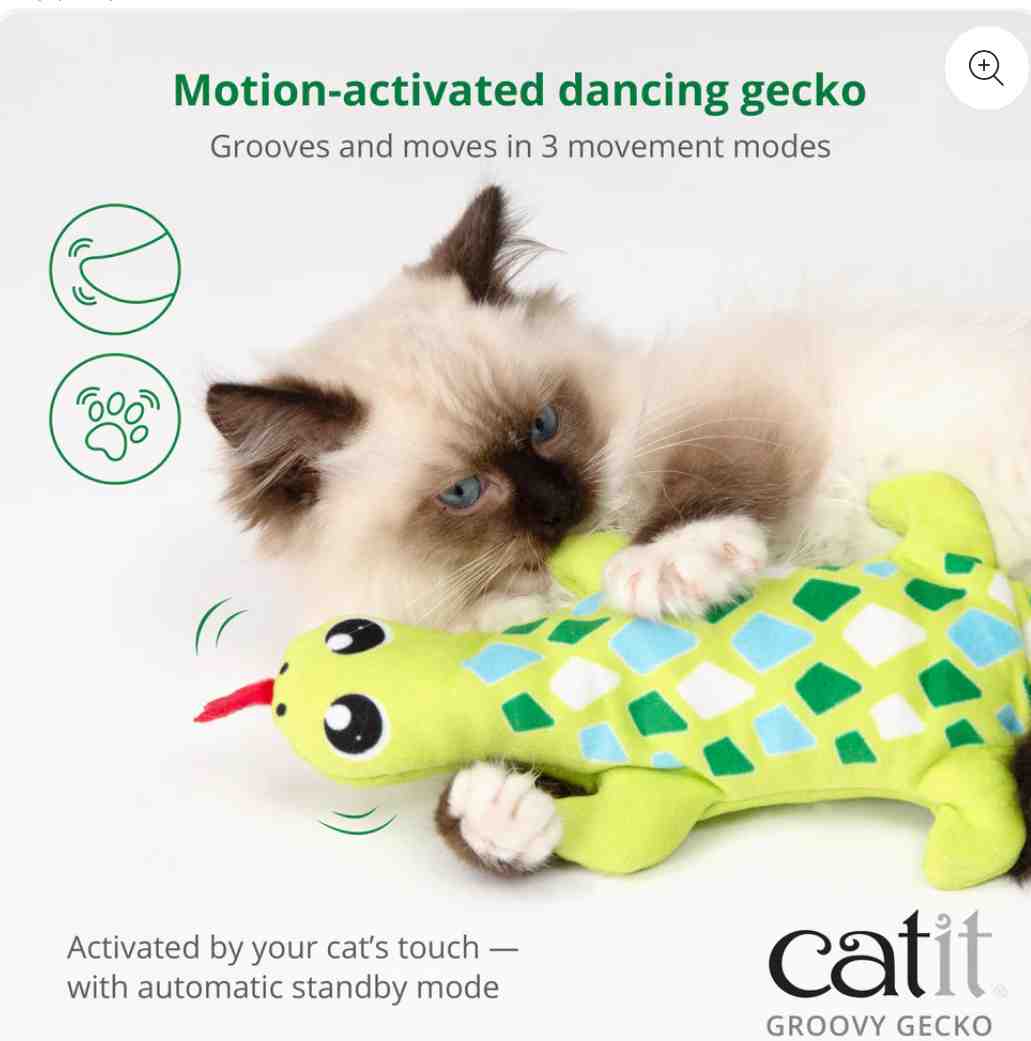CATIT GROOVY LAGARTIJA  (LAGARTIJA  EN MOVIMIENTO)