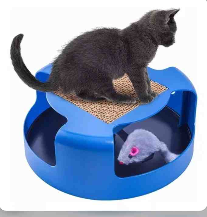 CAT MOUSE CON RASCADOR CARTON