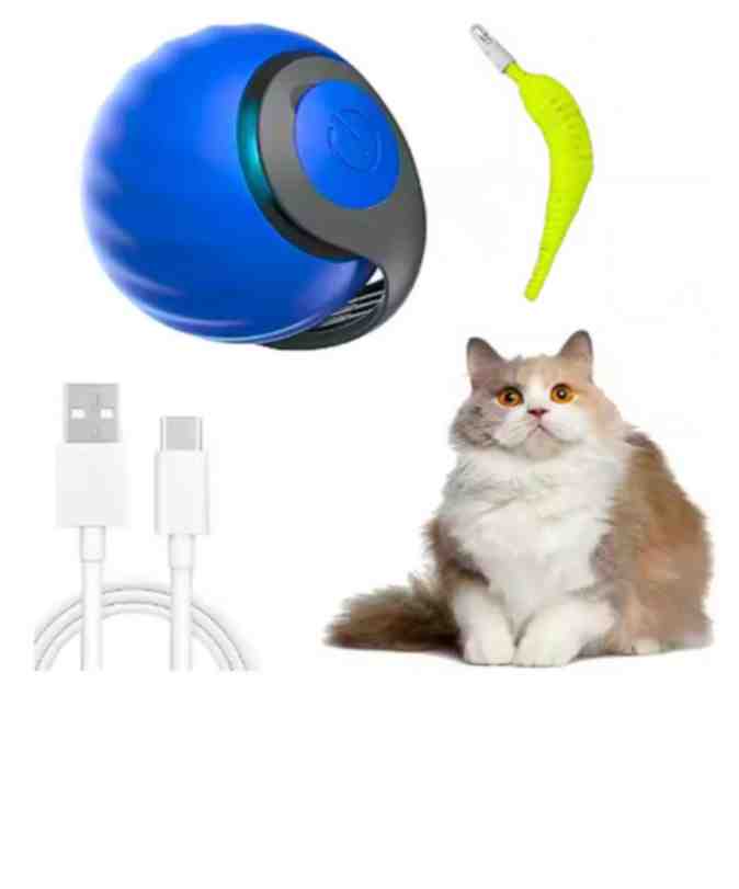 PELOTA AZUL INTERACTIVA CON PLUMA INTERCABIABLE ( SPEED-E )