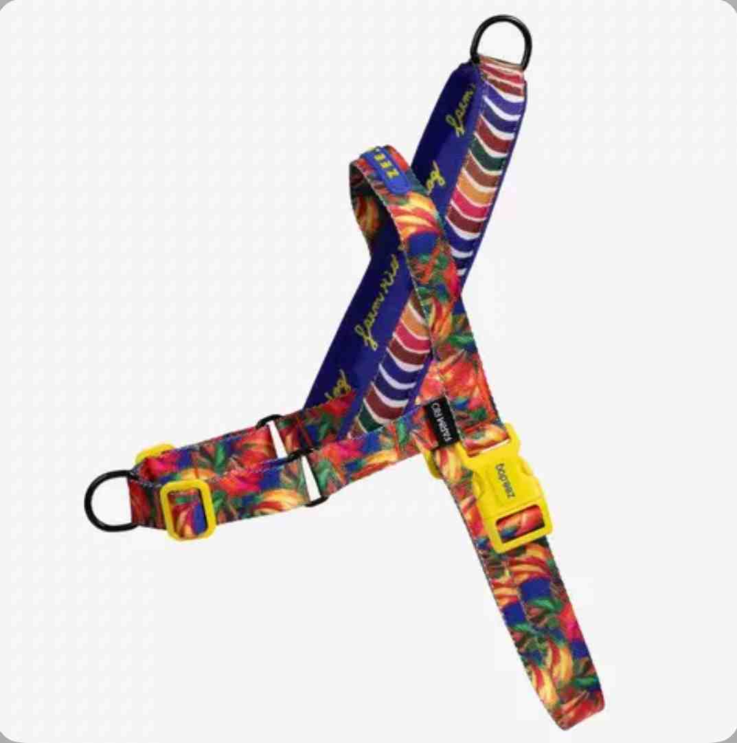 ARNES ANTITIRON SOFT WALK SAMBA  L