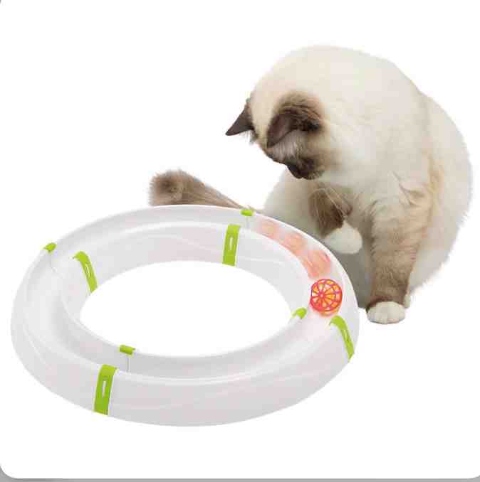 MAGIC CIRCLE INTERACTIVE 