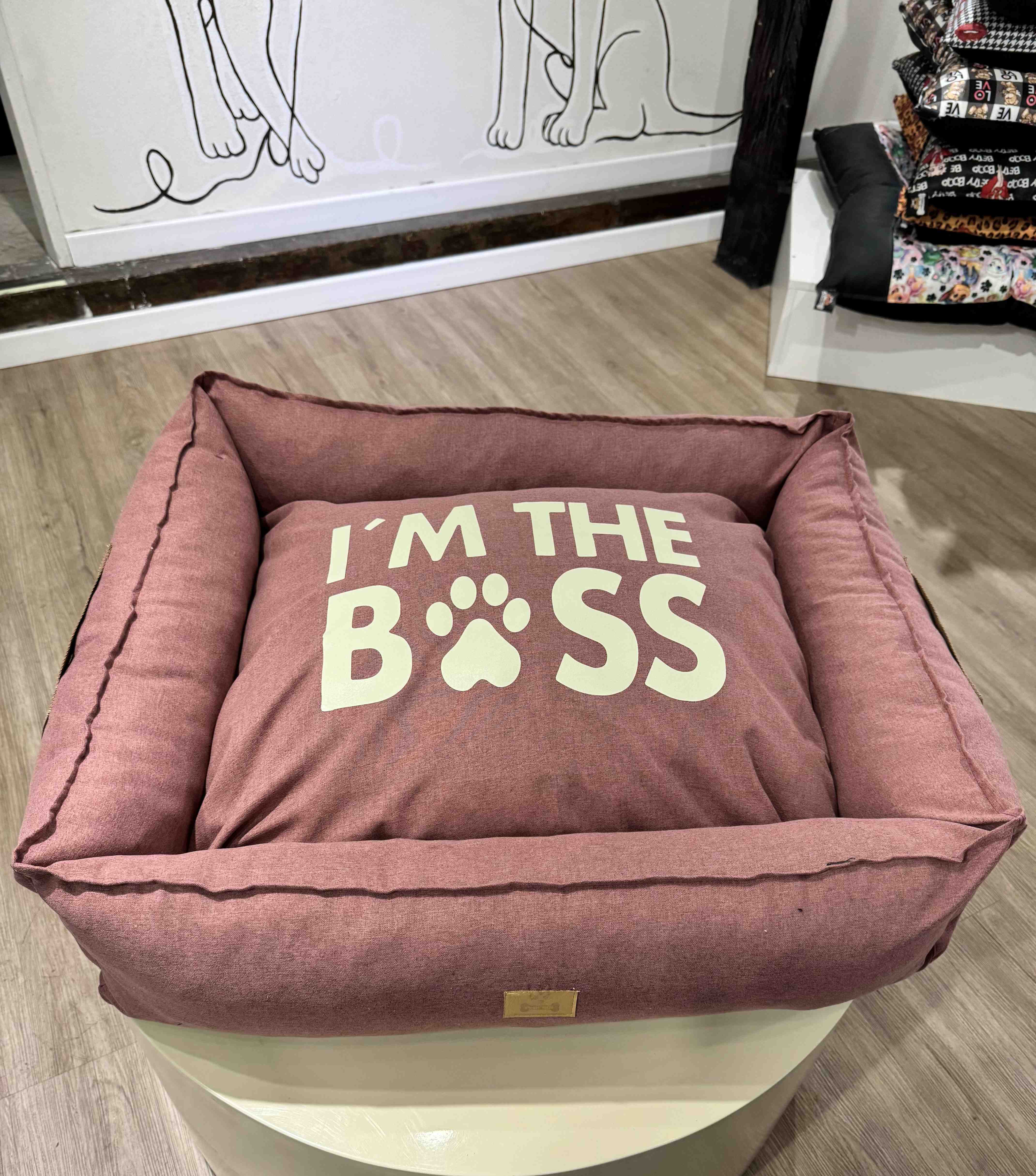 MOISES THE BOSS FUCSIA TALLE 1  55x45 cm