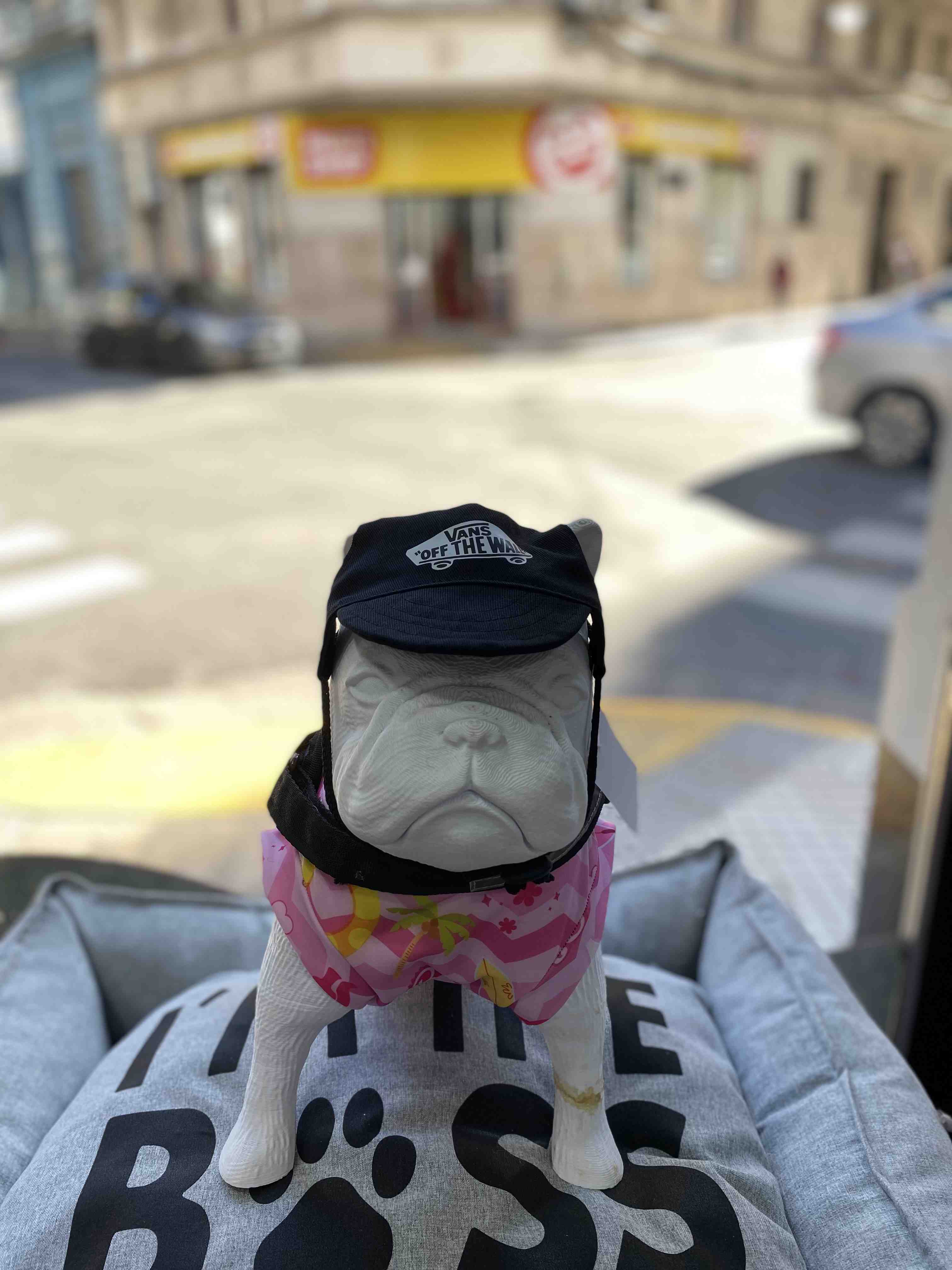 GORRA VANS NEGRA TALLE 2