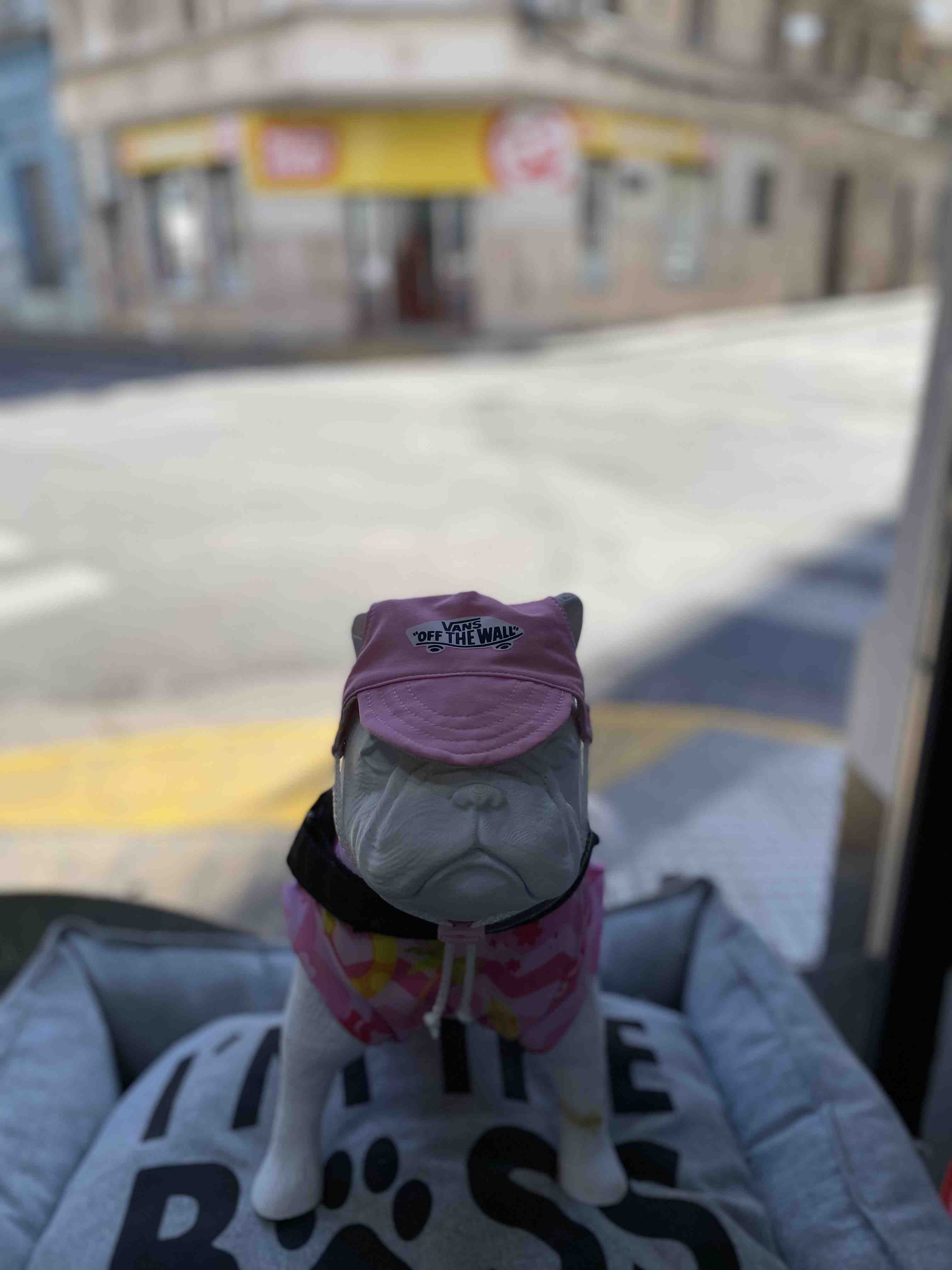 GORRA VANS ROSA TALLE 2