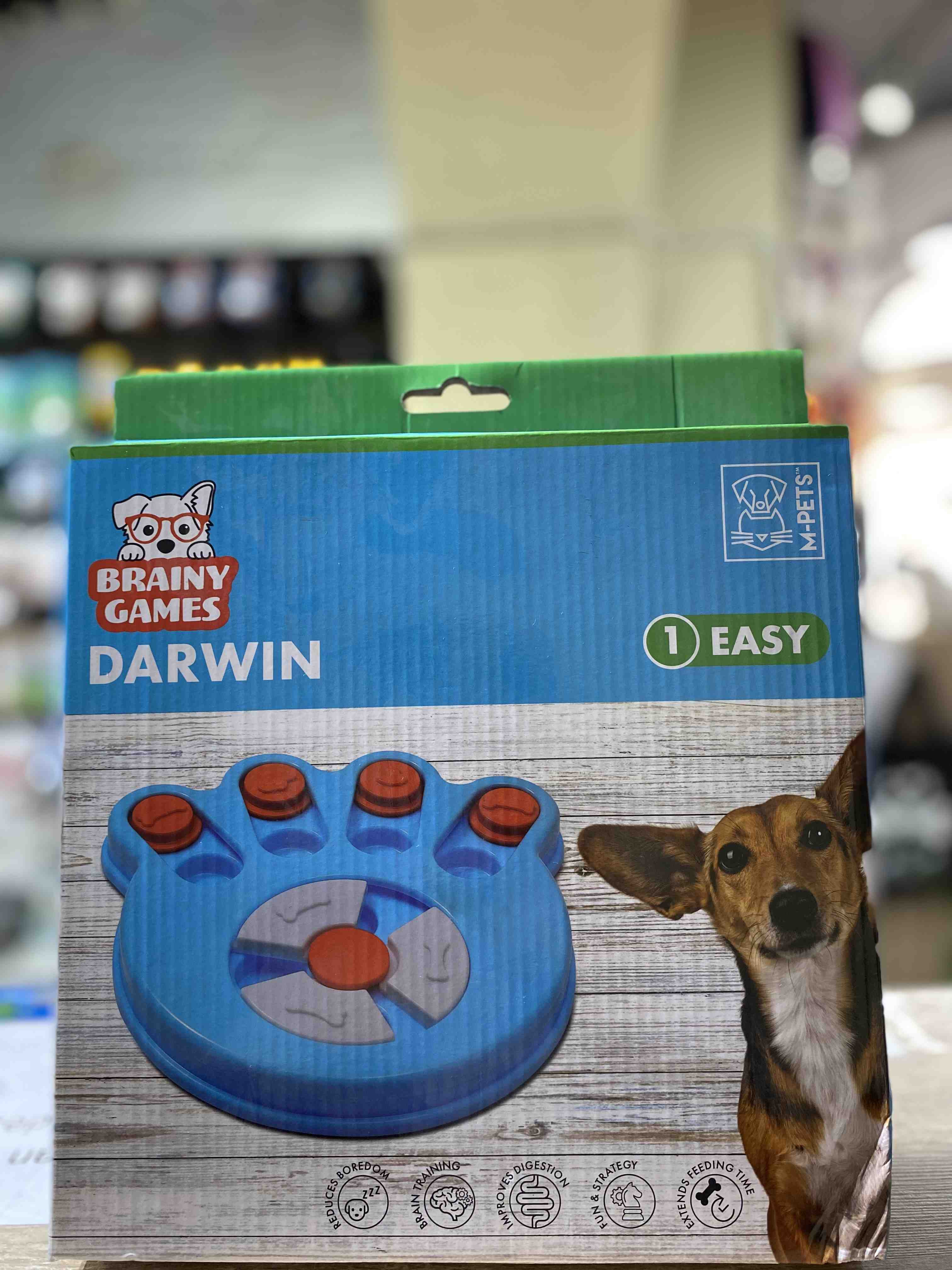 BRAINY GAMES DARWIN (AESY)