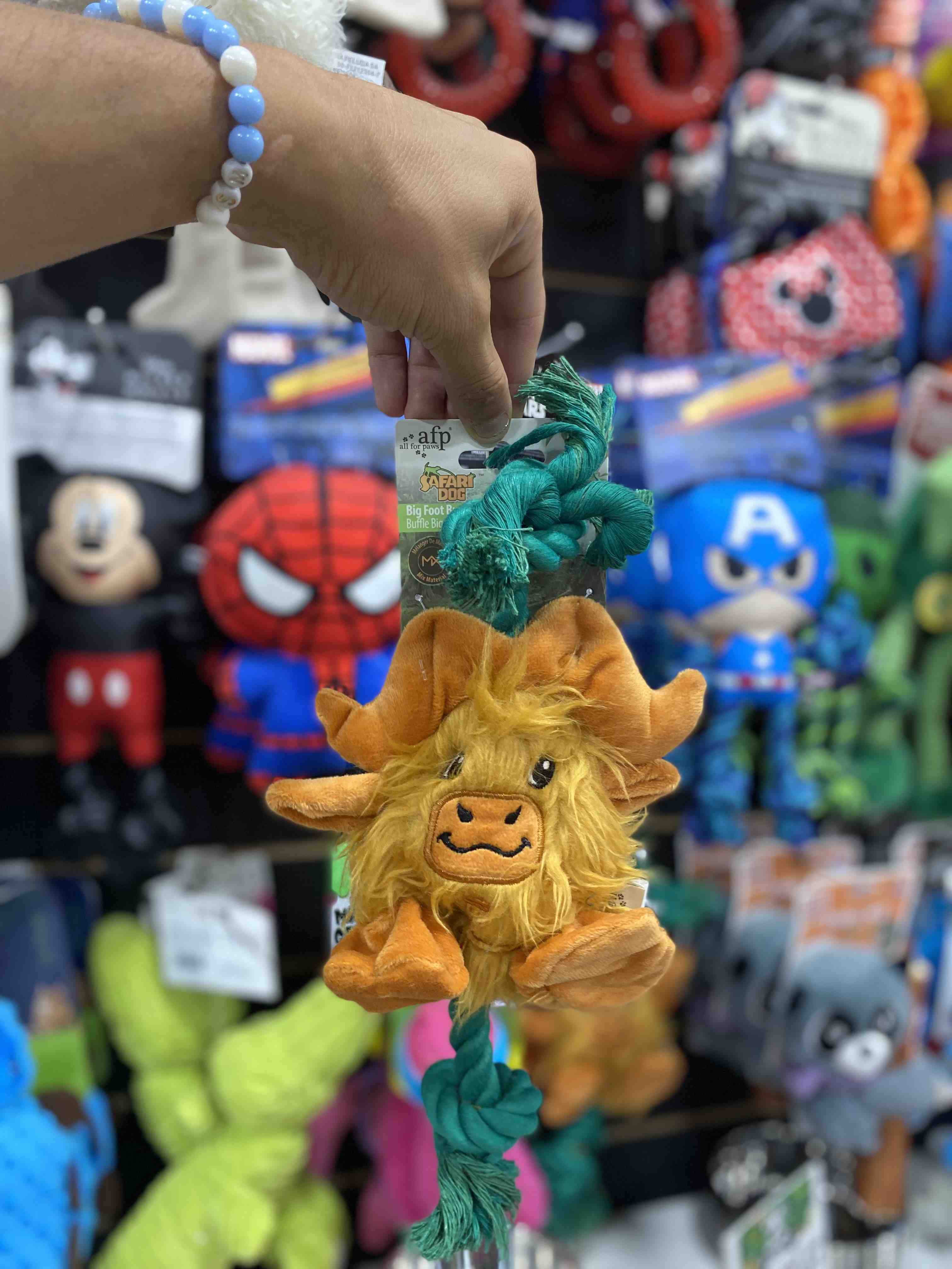 3705AFP BUFFALO SAFARI