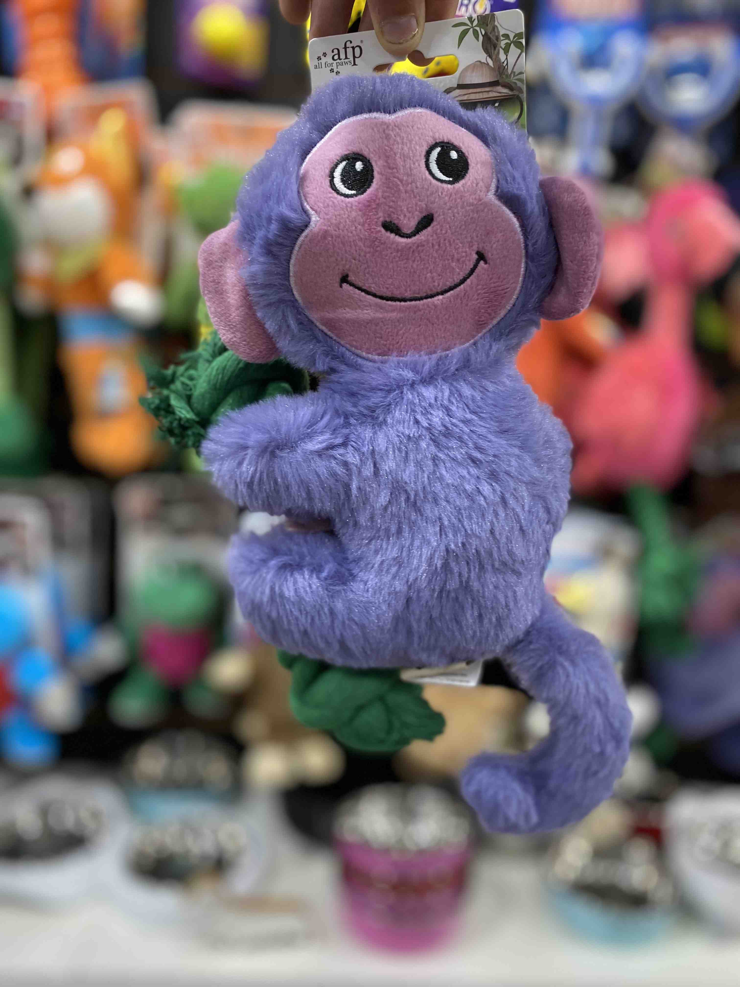 3722 AFP MONKE SAFARI 