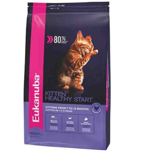 EUKANUBA GATO KITTEN 1KG