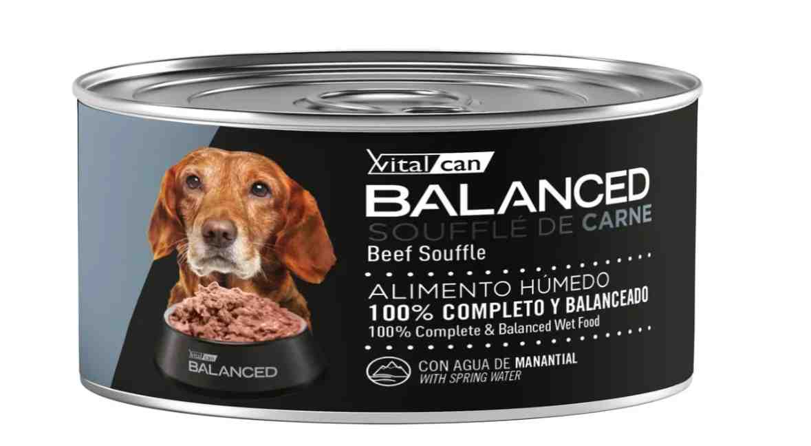 LATA BALANCED PERRO SENIOR POLLO X 85G