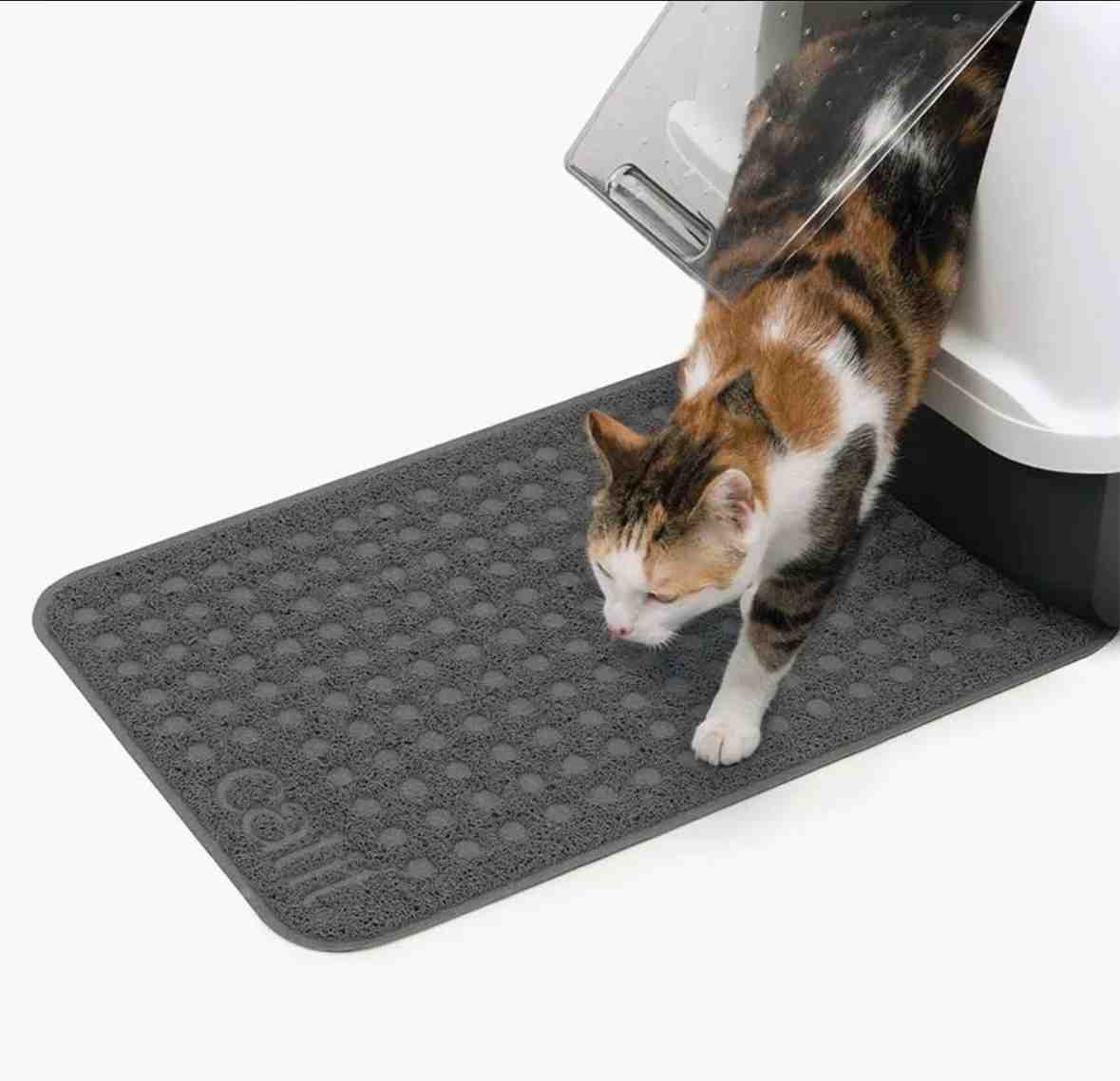 44365 ALFOMBRA SALIDA LITERA CAT IT  SMALL  40 X 60CM