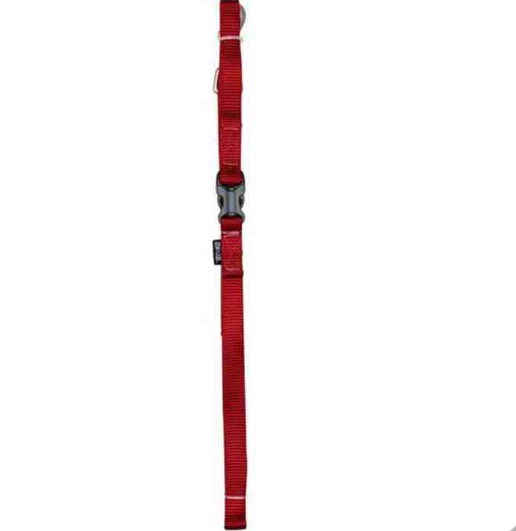 99581 CORREA ZEUS BORDO S/P  1CM X 1,2M