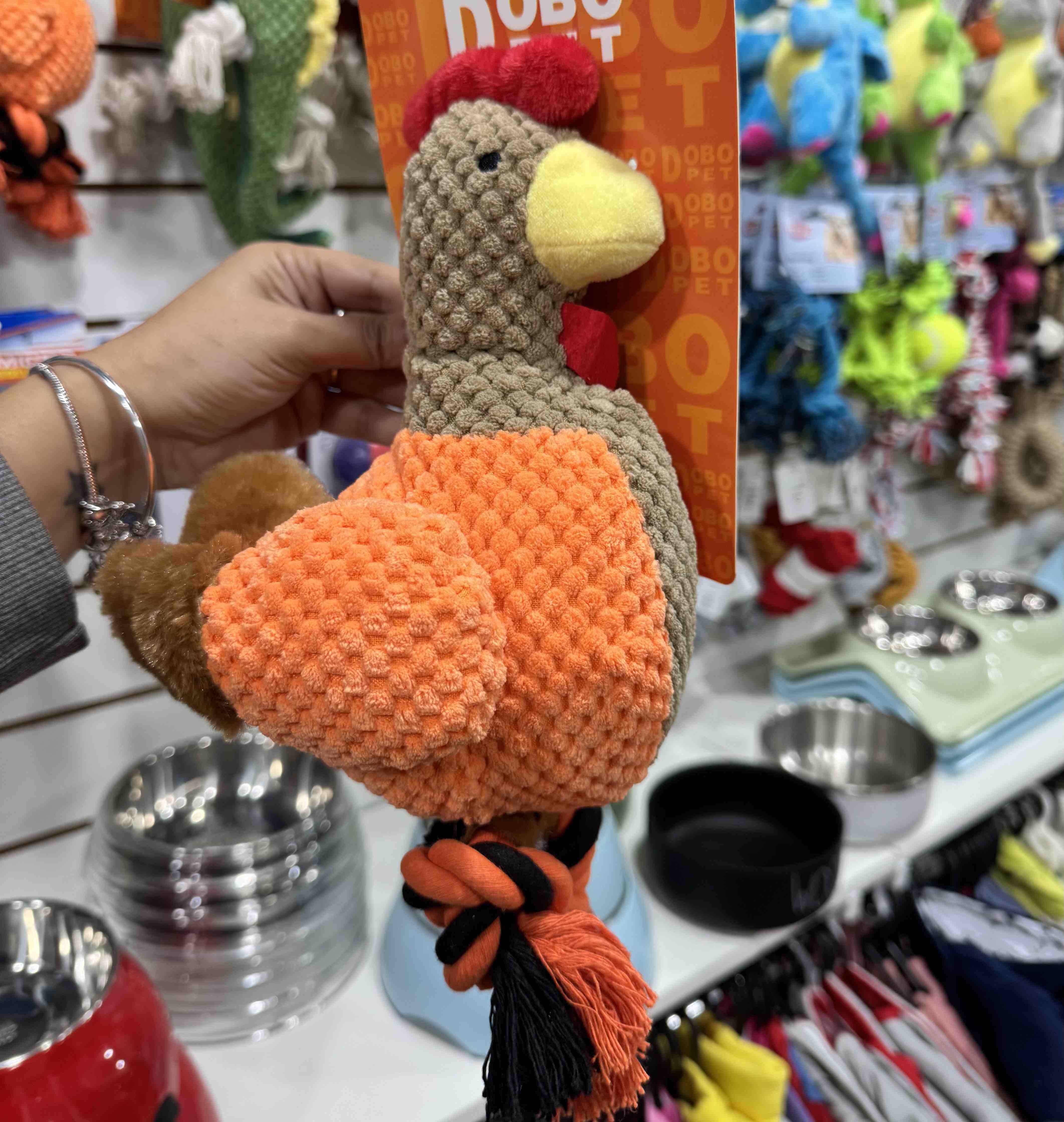 COOL17 GALLINA CON SOGA 